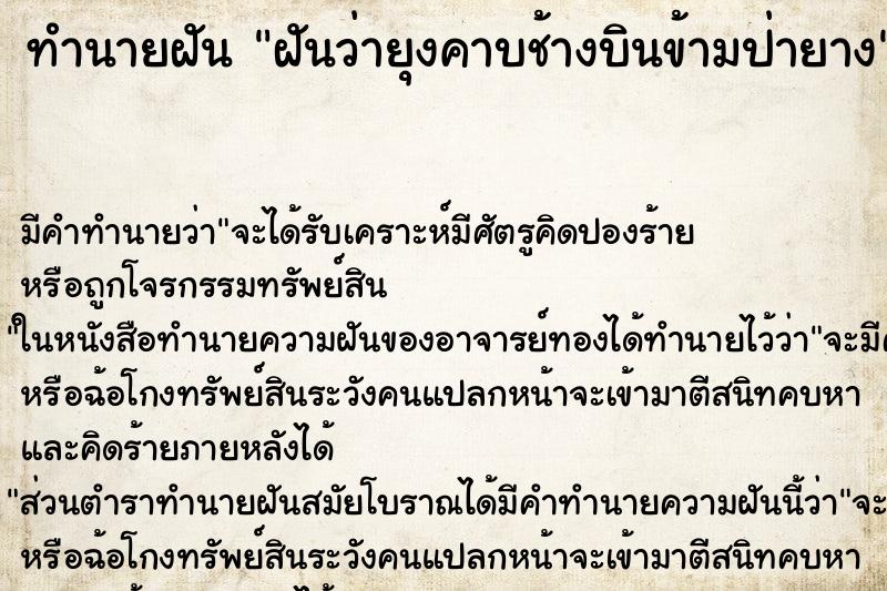 ทำนายฝันทำนายฝันฝันว่ายุงคาบช้างบินข้ามป่ายาง