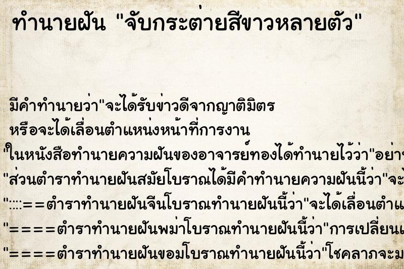 ทำนายฝันจับกระต่ายสีขาวหลายตัว ทำนายฝันทำนายฝันจับกระต่ายสีขาวหลายตัว