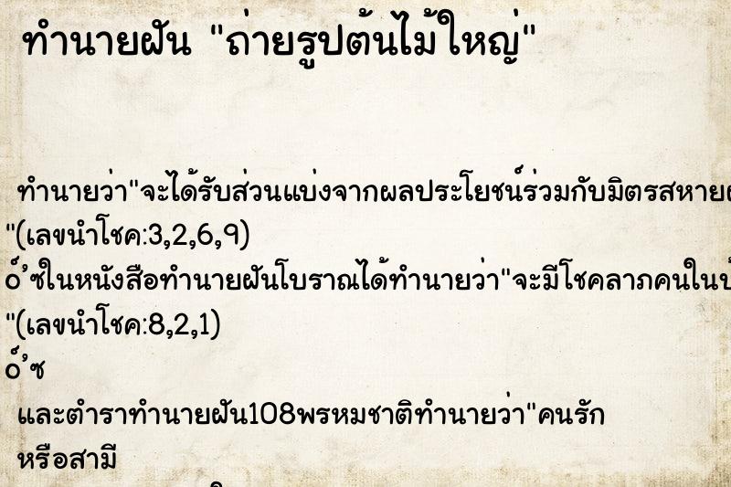 ทำนายฝัน ถ่ายรูปต้นไม้ใหญ่
