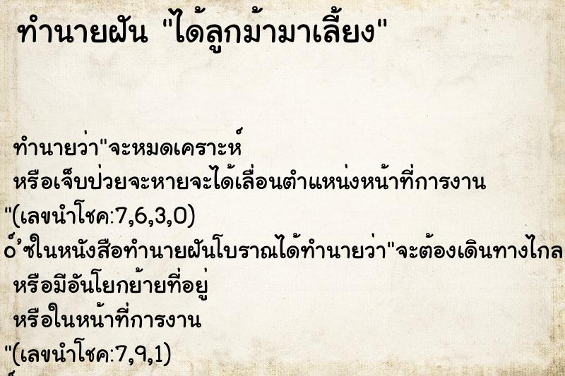 ทำนายฝัน ได้ลูกม้ามาเลี้ยง ทำนายฝัน ได้ลูกม้ามาเลี้ยง