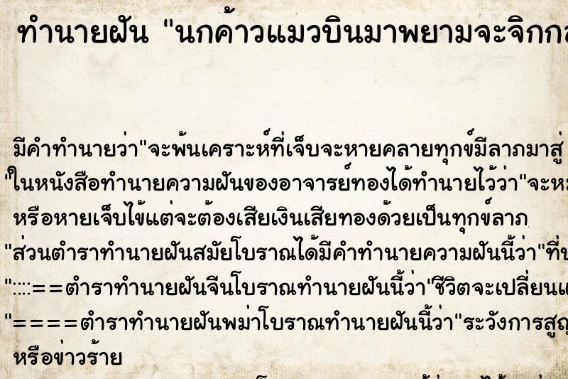 ทำนายฝันนกค้าวแมวบินมาพยามจะจิกกลางหัว ทำนายฝันทำนายฝันนกค้าวแมวบินมาพยามจะจิกกลางหัว