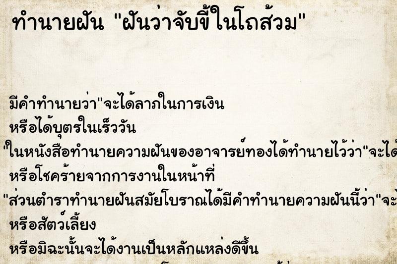 ทำนายฝันฝันว่าจับขี้ในโถส้วม ทำนายฝันทำนายฝันฝันว่าจับขี้ในโถส้วม