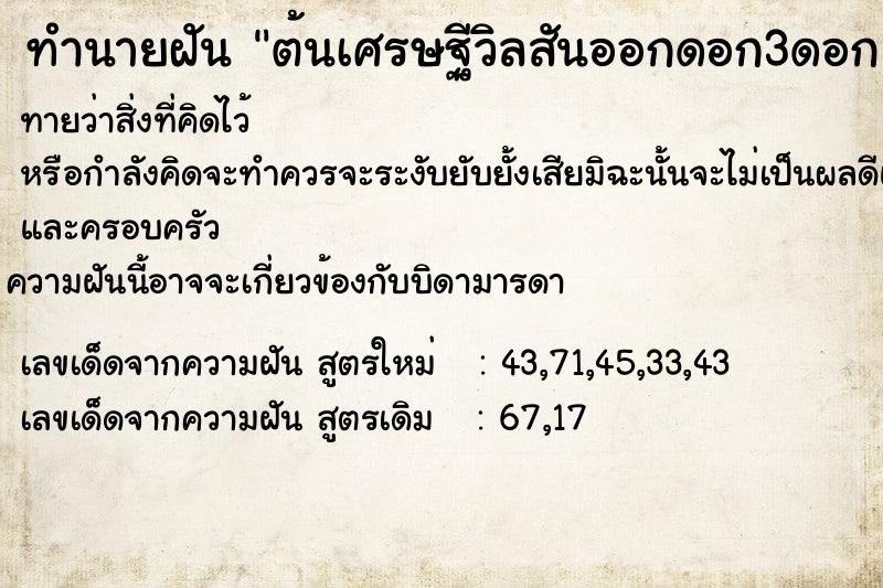 ทำนายฝันต้นเศรษฐีวิลสันออกดอก3ดอก ทำนายฝันทำนายฝันต้นเศรษฐีวิลสันออกดอก3ดอก