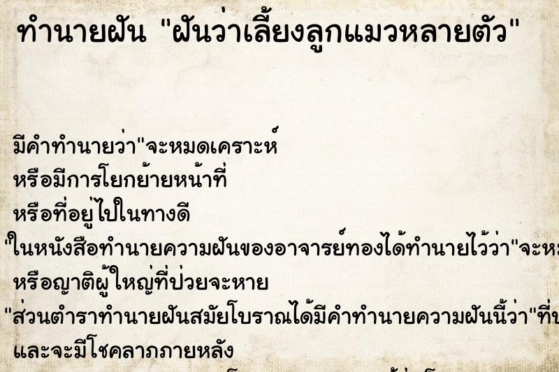 ทำนายฝันฝันว่าเลี้ยงลูกแมวหลายตัว ทำนายฝันทำนายฝันฝันว่าเลี้ยงลูกแมวหลายตัว