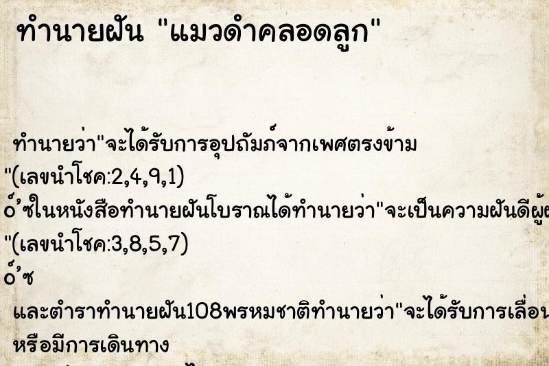 ทำนายฝันแมวดำคลอดลูก ทำนายฝันทำนายฝันแมวดำคลอดลูก