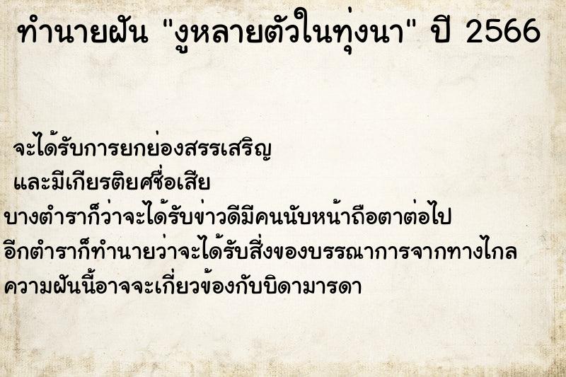 ทำนายฝัน งูหลายตัวในทุ่งนา ทำนายฝัน งูหลายตัวในทุ่งนา