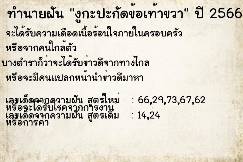 ทำนายฝัน งูกะปะกัดข้อเท้าขวา