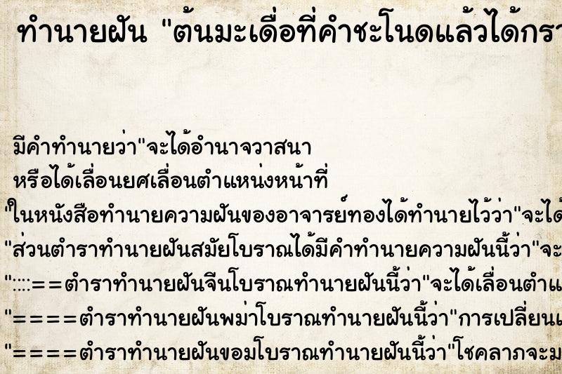 ทำนายฝันต้นมะเดื่อที่คำชะโนดแล้วได้กราบไหว้ขอรางวัลที่1 ทำนายฝันทำนายฝันต้นมะเดื่อที่คำชะโนดแล้วได้กราบไหว้ขอรางวัลที่1