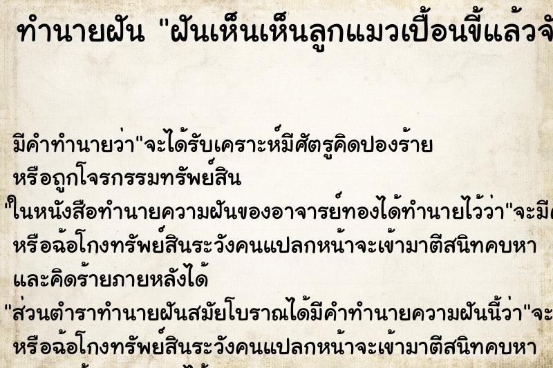 ทำนายฝันฝันเห็นเห็นลูกแมวเปื้อนขี้แล้วจับล้างออก ทำนายฝันทำนายฝันฝันเห็นเห็นลูกแมวเปื้อนขี้แล้วจับล้างออก