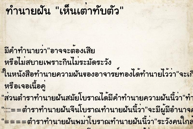 ทำนายฝัน เห็นเต่าทับตัว ทำนายฝัน เห็นเต่าทับตัว