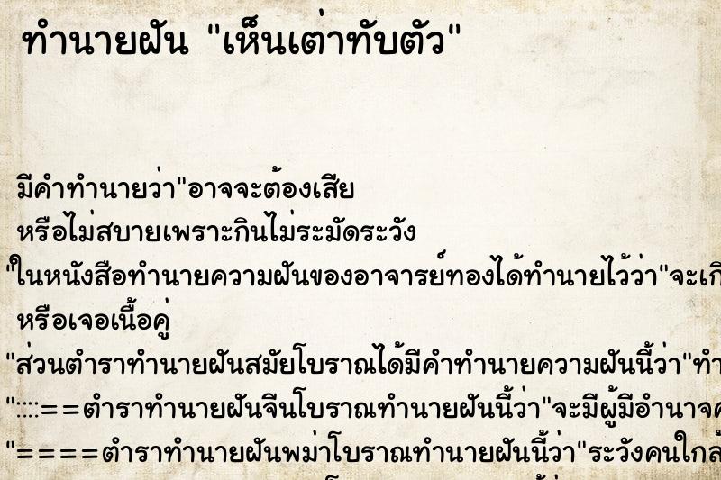 ทำนายฝัน เห็นเต่าทับตัว ตำราโบราณ แม่นที่สุดในโลก