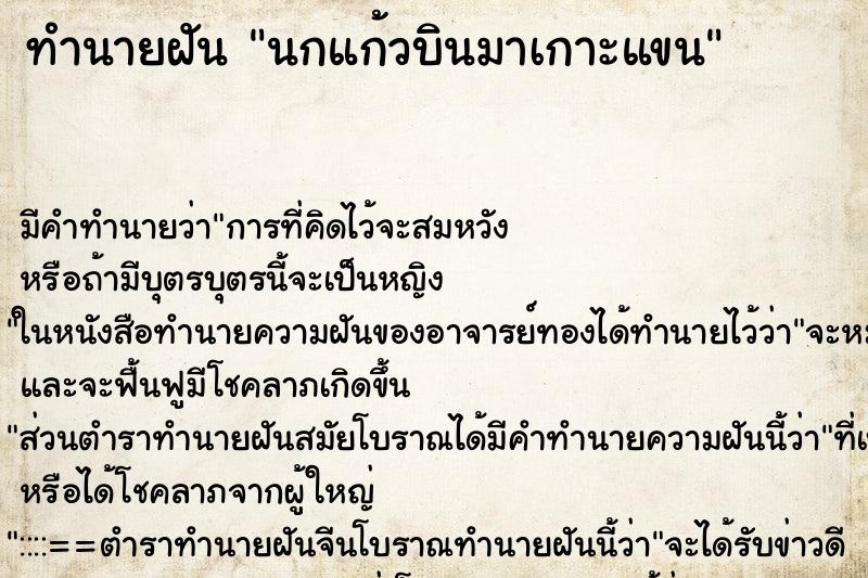 ทำนายฝัน นกแก้วบินมาเกาะแขน ตำราโบราณ แม่นที่สุดในโลก