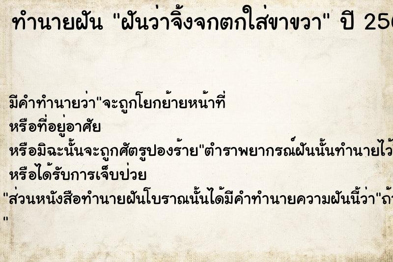ทำนายฝันฝันว่าจิ้งจกตกใส่ขาขวา ทำนายฝันทำนายฝันฝันว่าจิ้งจกตกใส่ขาขวา