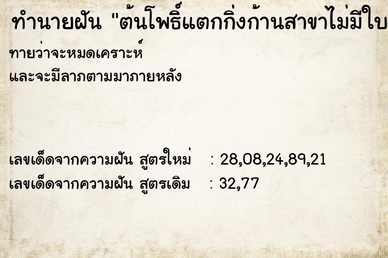 ทำนายฝันทำนายฝันต้นโพธิ์แตกกิ่งก้านสาขาไม่มีใบสวยมาก