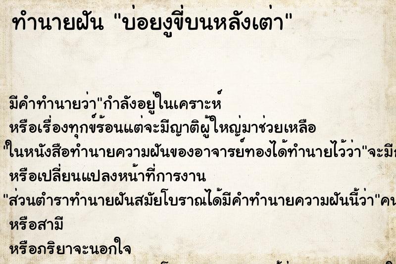 ทำนายฝันทำนายฝันบ่อยงูขี่บนหลังเต่า