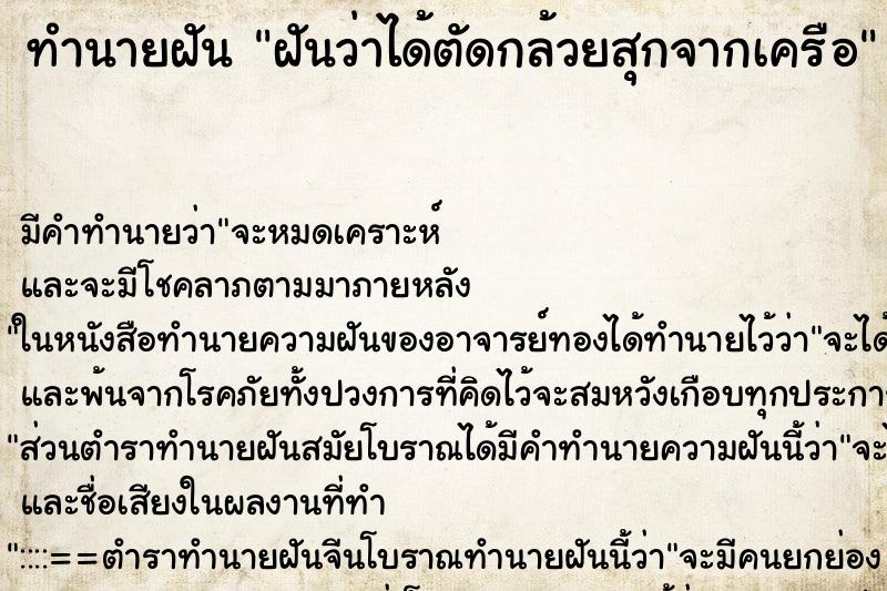 ทำนายฝันทำนายฝันฝันว่าได้ตัดกล้วยสุกจากเครือ