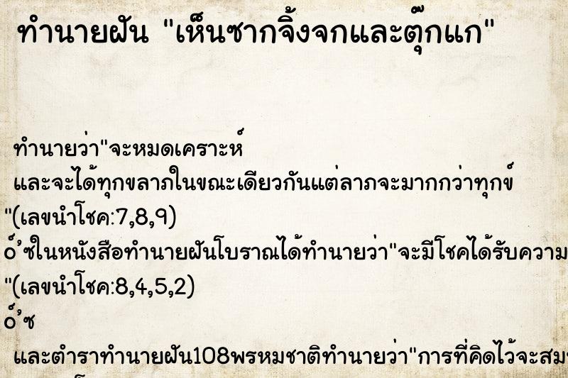 ทำนายฝันทำนายฝันเห็นซากจิ้งจกและตุ๊กแก