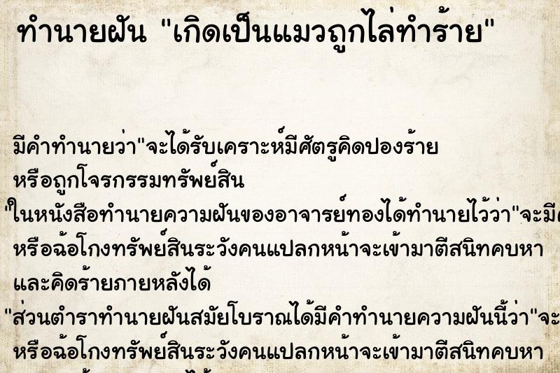 ทำนายฝันเกิดเป็นแมวถูกไล่ทำร้าย ทำนายฝันทำนายฝันเกิดเป็นแมวถูกไล่ทำร้าย