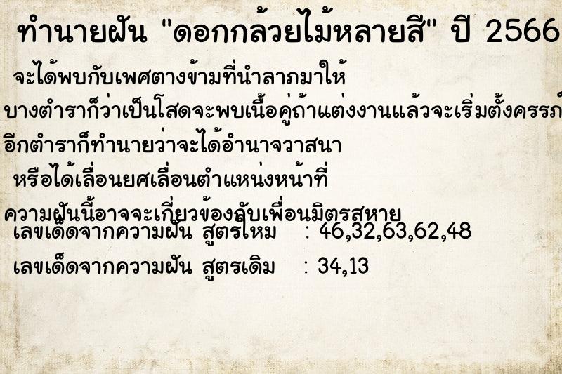 ทำนายฝันดอกกล้วยไม้หลายสี ทำนายฝันทำนายฝันดอกกล้วยไม้หลายสี