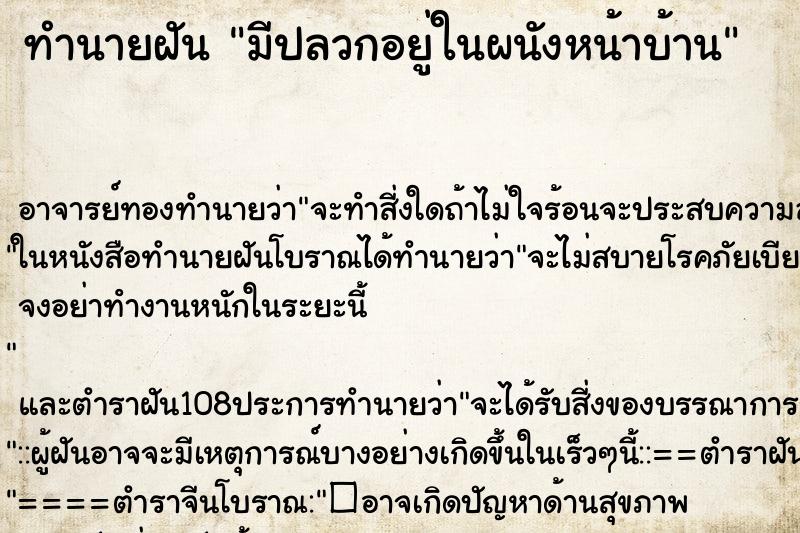 ทำนายฝันมีปลวกอยู่ในผนังหน้าบ้าน ทำนายฝันทำนายฝันมีปลวกอยู่ในผนังหน้าบ้าน