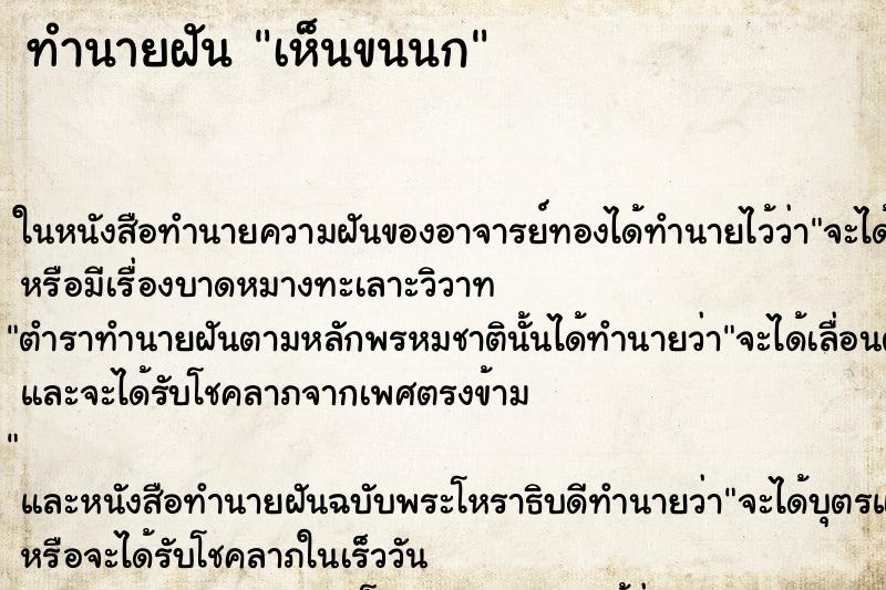 ทำนายฝัน เห็นขนนก ทำนายฝัน เห็นขนนก
