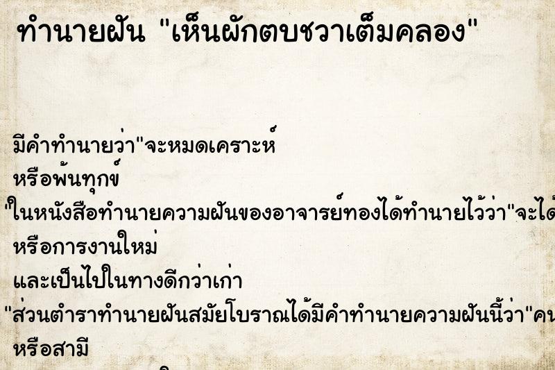 ทำนายฝัน เห็นผักตบชวาเต็มคลอง ทำนายฝัน เห็นผักตบชวาเต็มคลอง