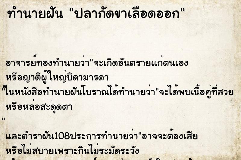 ทำนายฝัน ปลากัดขาเลือดออก ทำนายฝัน ปลากัดขาเลือดออก