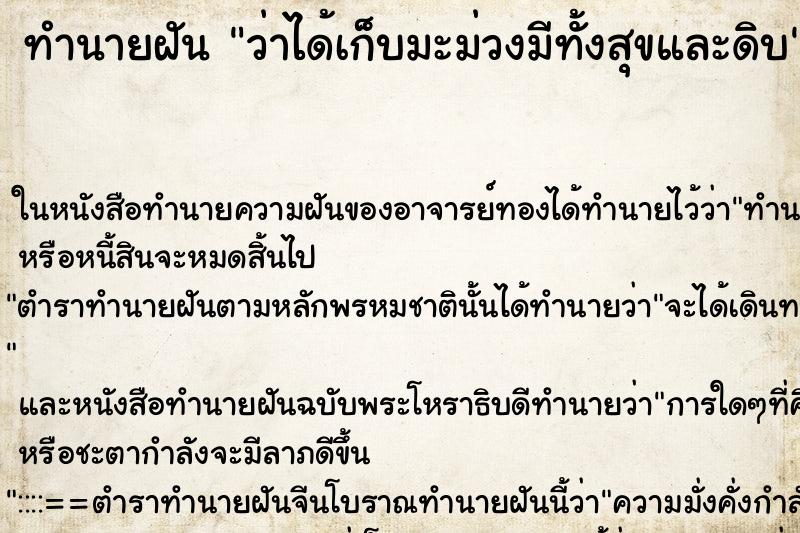 ทำนายฝันทำนายฝันว่าได้เก็บมะม่วงมีทั้งสุขและดิบ