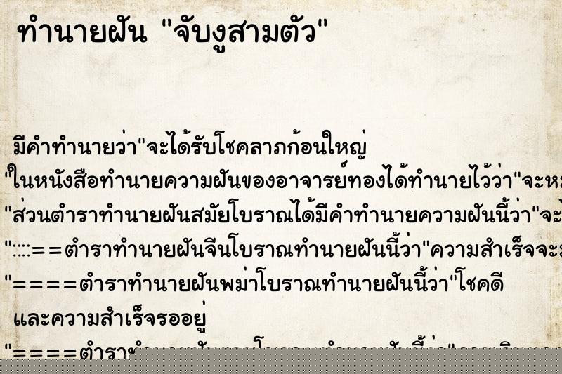 ทำนายฝันจับงูสามตัว ทำนายฝันทำนายฝันจับงูสามตัว