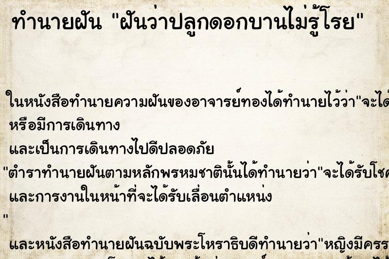 ทำนายฝันฝันว่าปลูกดอกบานไม่รู้โรย ทำนายฝันทำนายฝันฝันว่าปลูกดอกบานไม่รู้โรย