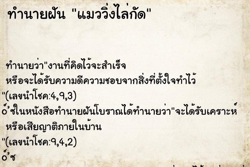 ทำนายฝัน แมววิ่งไล่กัด ทำนายฝัน แมววิ่งไล่กัด