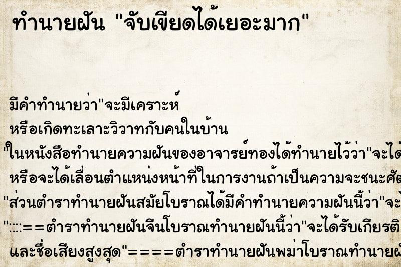 ทำนายฝัน จับเขียดได้เยอะมาก ทำนายฝัน จับเขียดได้เยอะมาก