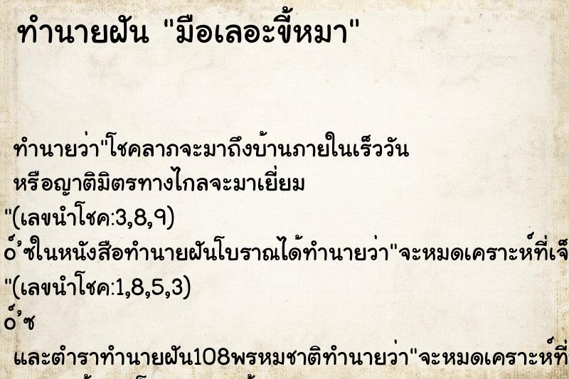 ทำนายฝัน มือเลอะขี้หมา ทำนายฝัน มือเลอะขี้หมา