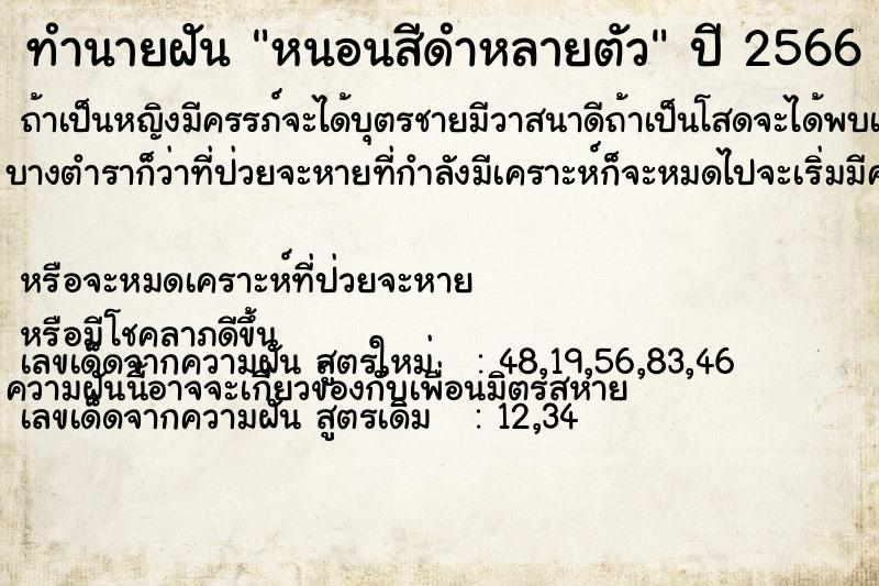 ทำนายฝัน หนอนสีดำหลายตัว แม่นๆ ฟรี ด้วยตำราหนังสือทำนายฝันโบราณ ทำนายฝันหนอนสีดำหลายตัว