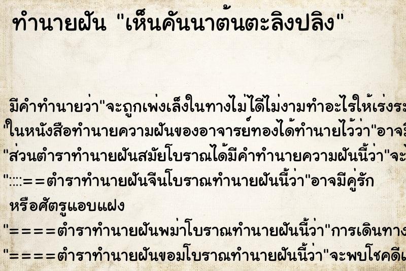 ทำนายฝันทำนายฝันเห็นคันนาต้นตะลิงปลิง