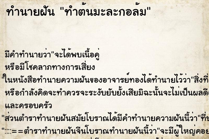 ทำนายฝัน ทำต้นมะละกอล้ม ทำนายฝัน ทำต้นมะละกอล้ม