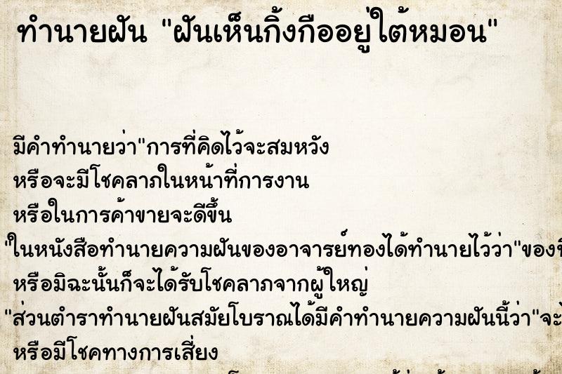 ทำนายฝันทำนายฝันฝันเห็นกิ้งกืออยู่ใต้หมอน