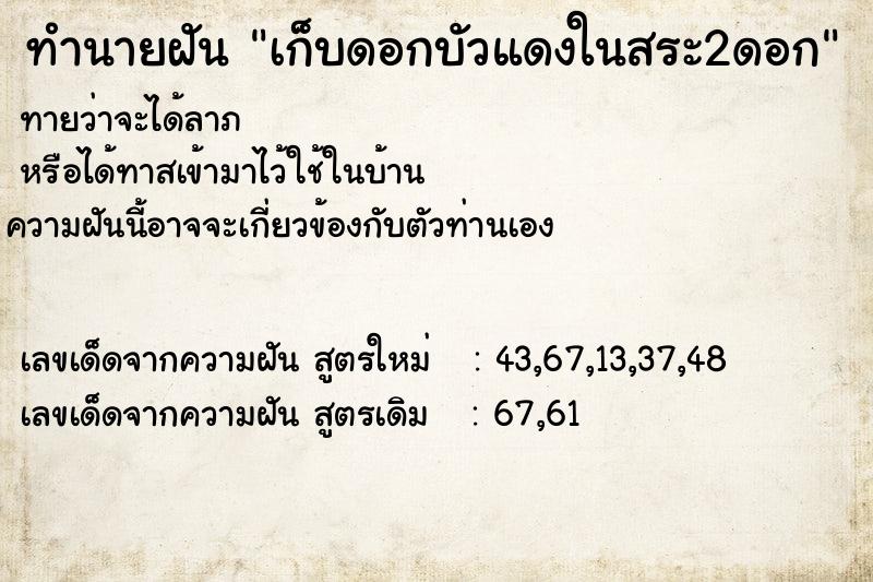 ทำนายฝันทำนายฝันเก็บดอกบัวแดงในสระ2ดอก