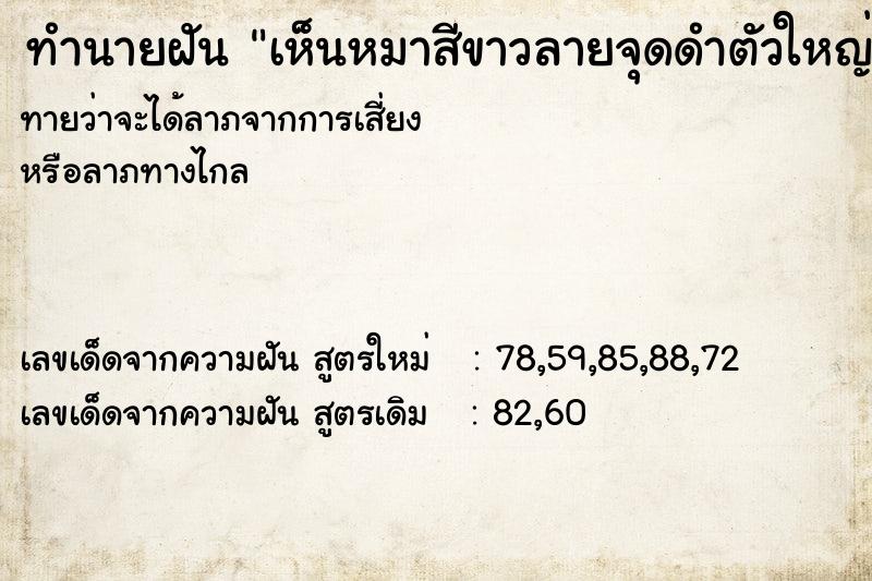 ทำนายฝันทำนายฝันเห็นหมาสีขาวลายจุดดำตัวใหญ่วันไม่รู้