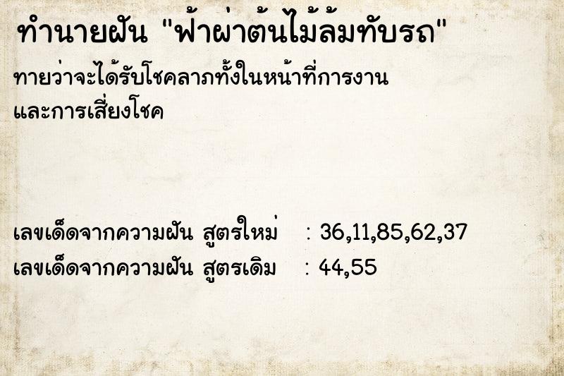 ทำนายฝันฟ้าผ่าต้นไม้ล้มทับรถ ทำนายฝันทำนายฝันฟ้าผ่าต้นไม้ล้มทับรถ