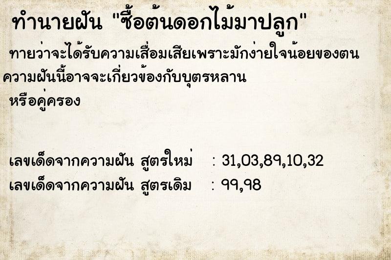 ทำนายฝันทำนายฝันซื้อต้นดอกไม้มาปลูก