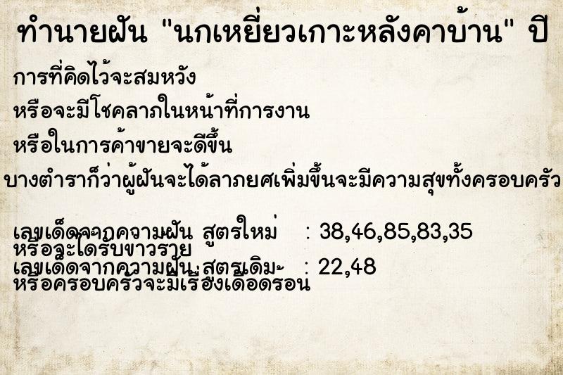 ทำนายฝัน นกเหยี่ยวเกาะหลังคาบ้าน ทำนายฝัน นกเหยี่ยวเกาะหลังคาบ้าน