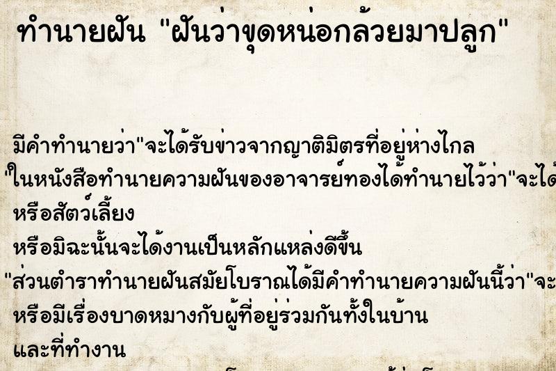 ทำนายฝัน ฝันว่าขุดหน่อกล้วยมาปลูก ทำนายฝัน ฝันว่าขุดหน่อกล้วยมาปลูก