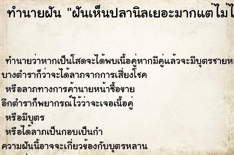 ทำนายฝันฝันเห็นปลานิลเยอะมากแต่ไม่ได้จับ ทำนายฝันทำนายฝันฝันเห็นปลานิลเยอะมากแต่ไม่ได้จับ