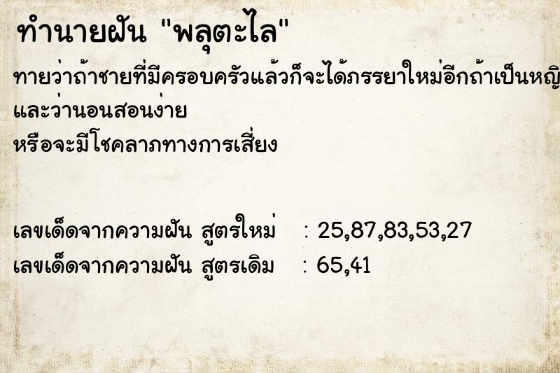 ทำนายฝันพลุตะไล ทำนายฝันทำนายฝันพลุตะไล