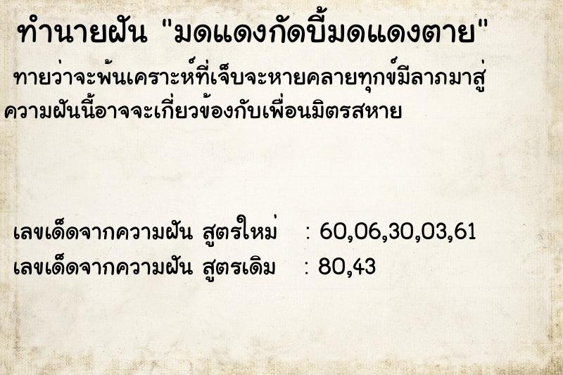 ทำนายฝันมดแดงกัดบี้มดแดงตาย ทำนายฝันทำนายฝันมดแดงกัดบี้มดแดงตาย