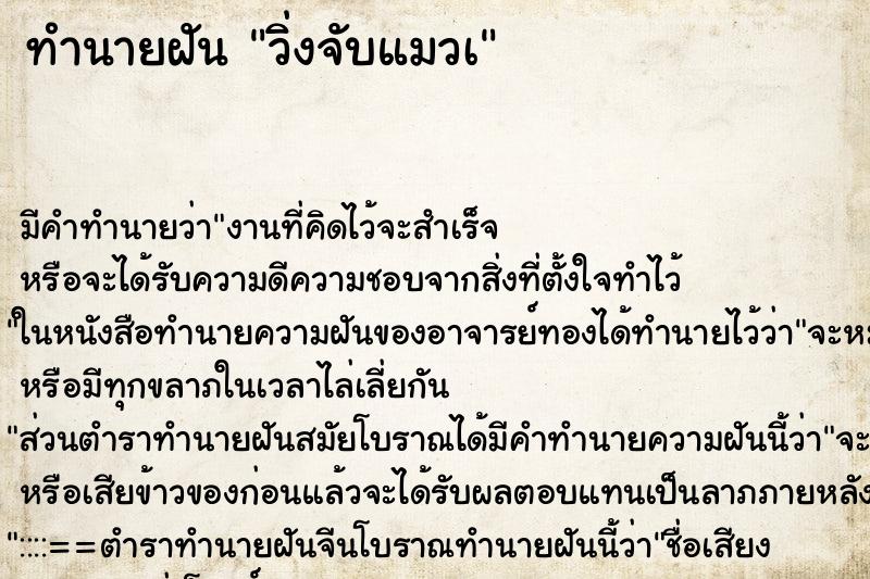 ทำนายฝัน วิ่งจับแมวà ทำนายฝัน วิ่งจับแมวà