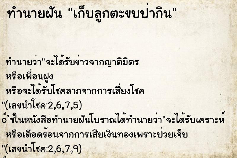 ทำนายฝัน เก็บลูกตะขบป่ากิน ทำนายฝัน เก็บลูกตะขบป่ากิน