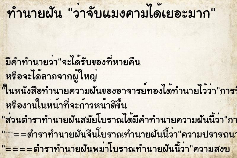 ทำนายฝัน ว่าจับแมงคามได้เยอะมาก ทำนายฝัน ว่าจับแมงคามได้เยอะมาก