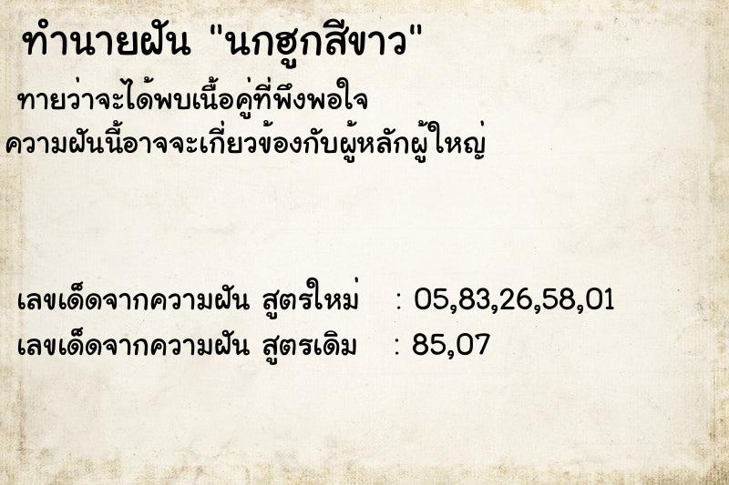 ทำนายฝัน นกฮูกสีขาว ทำนายฝัน นกฮูกสีขาว